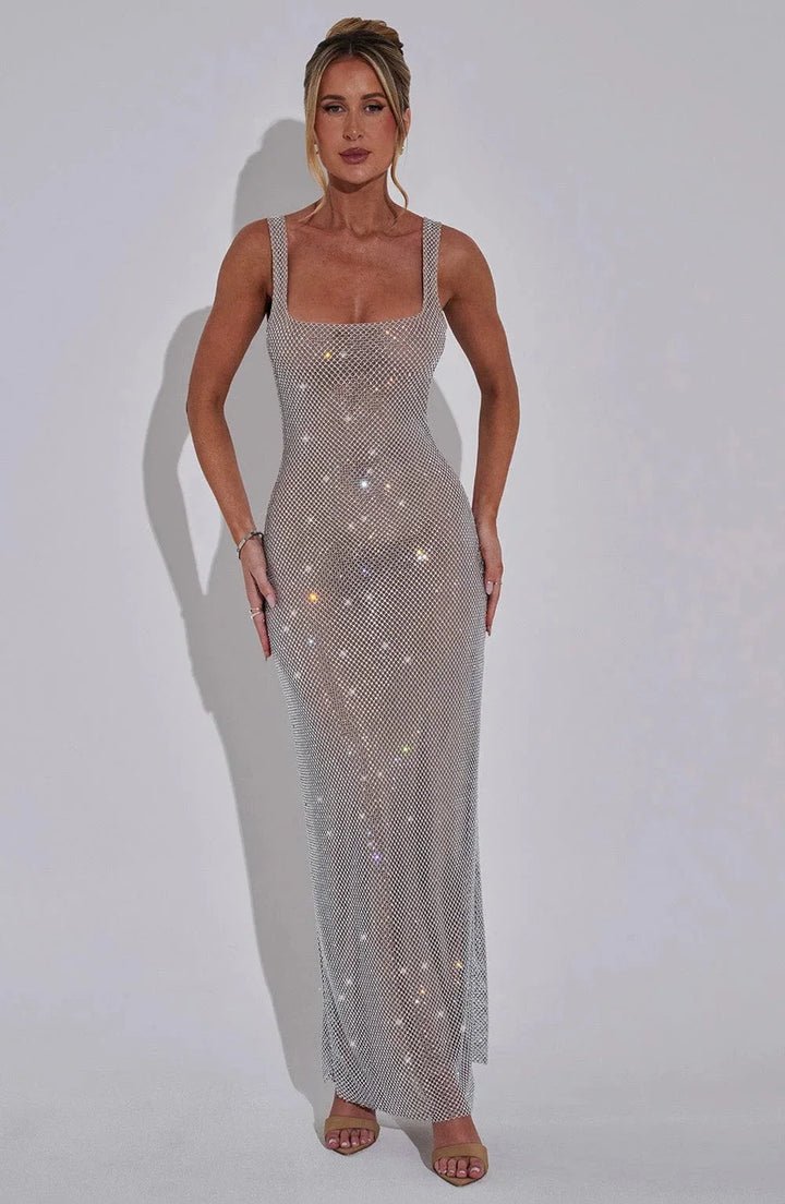 Stormy sleek mesh maxi dress for women, featuring a modern design with a flowy silhouette and delicate mesh fabric.